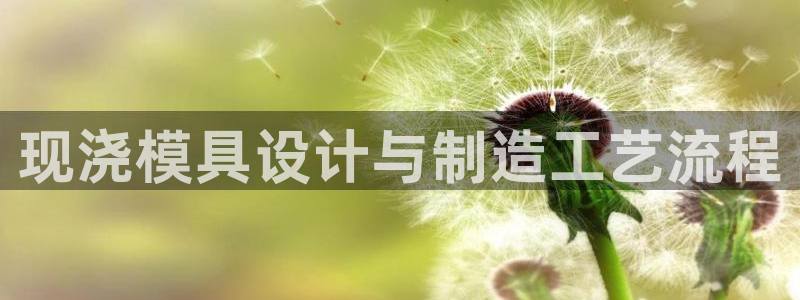 太阳成集团mmm671：现浇模具设计与制造工艺流程