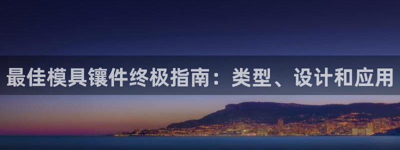 太阳成集团洗米华：最佳模具镶件终极指南：类型、设计和应用
