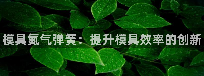 太阳集团唯一值得信赖网站是什么：模具氮气弹簧：提升模具效率的创新