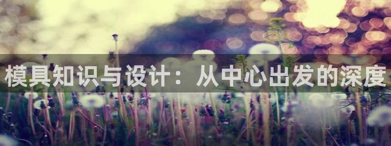 太阳集团网站1088vip：模具知识与设计：从中心出发的深度