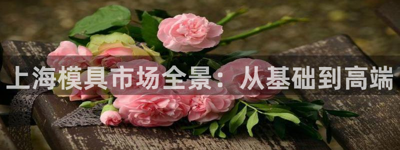 太阳集团主要是做什么的