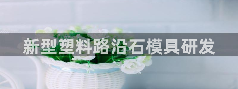 太阳gg平台地址：新型塑料路沿石模具研发