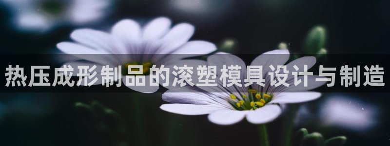 8827太阳集团：热压成形制品的滚塑模具设计与制造