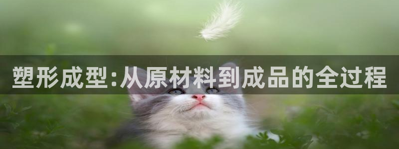 太阳集团sungroup：塑形成型:从原材料到成品的全过程