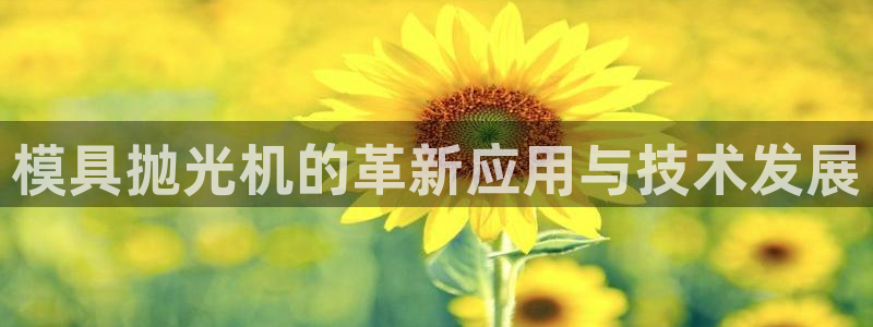 太阳影视公司：模具抛光机的革新应用与技术发展