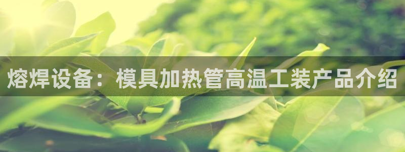 太阳gg会员登录：熔焊设备：模具加热管高温工装产品介绍
