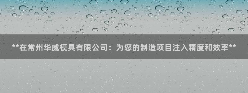 太阳集团游戏：**在常州华威模具有限公司：为您的制造项目注入精度和效率**