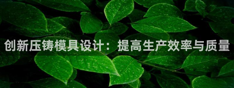 太阳 官网