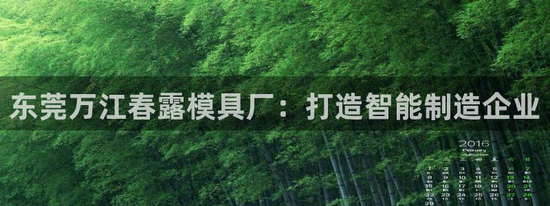 冷太阳什么意思：东莞万江春露模具厂：打造智能制造企业