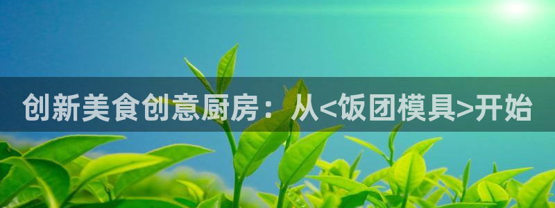 太阳集团电子游戏登录：创新美食创意厨房：从<饭团模具>开始