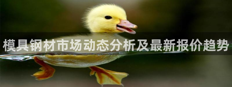 太阳影视公司：模具钢材市场动态分析及最新报价趋势