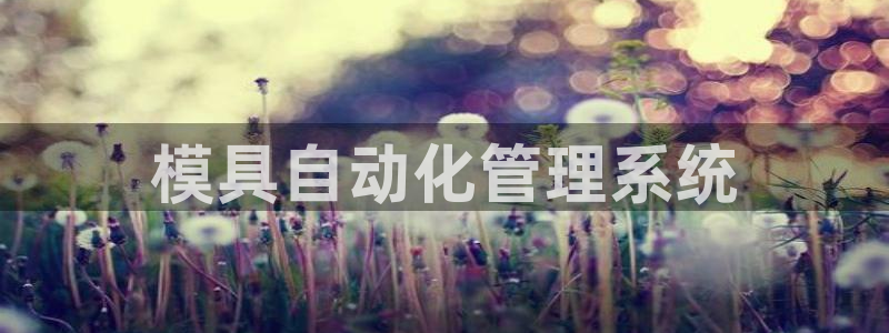 太阳诚集团网站：模具自动化管理系统