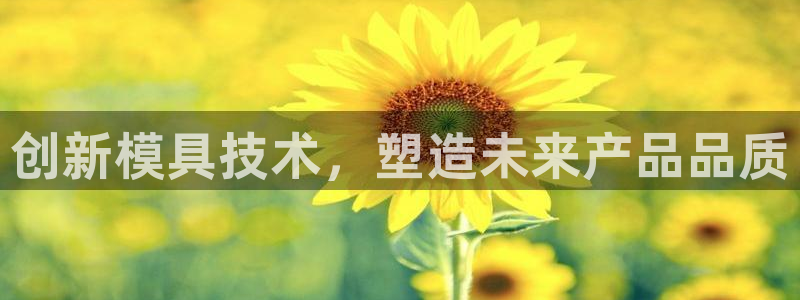 太阳集团董事长是谁呀：创新模具技术，塑造未来产品品质