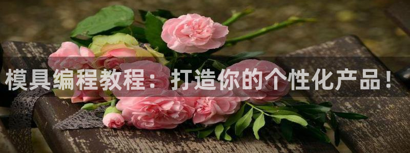 太阳集团app十佳平台怎么样：模具编程教程：打造你的个性化产品！