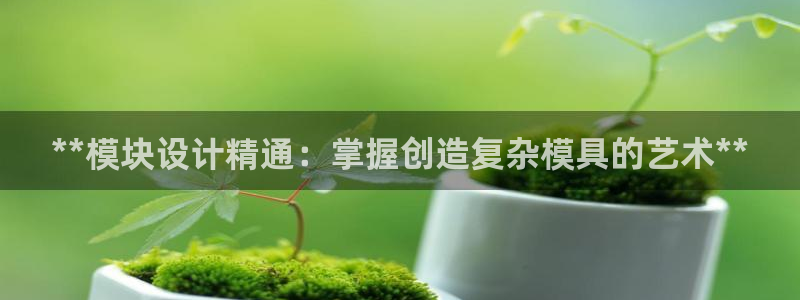 太阳集团游戏官网：**模块设计精通：掌握创造复杂模具的艺术**