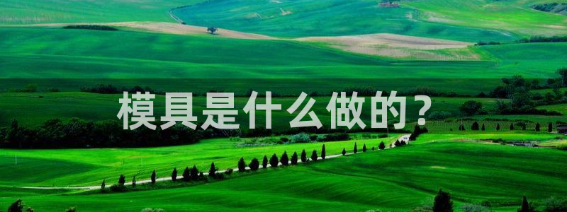 太阳诚集团视频：模具是什么做的？