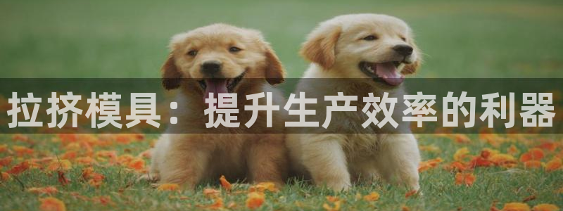 太阳gg注册登录：拉挤模具：提升生产效率的利器