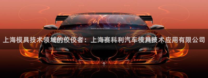 太阳sun网站：上海模具技术领域的佼佼者：上海赛科利汽车模具技术应用有限公司
