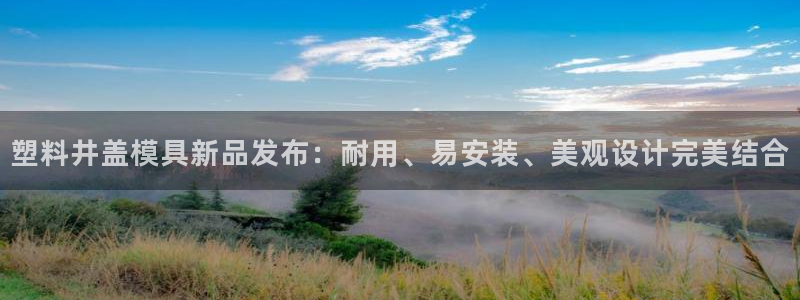 太阳集团娱乐场：塑料井盖模具新品发布：耐用、易安装、美观设计完美结合
