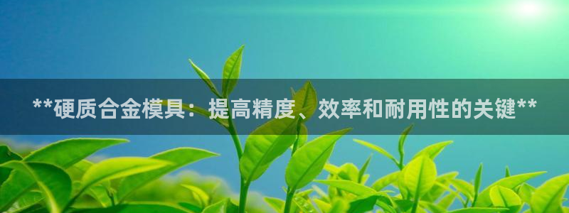 太阳gg是真的吗：**硬质合金模具：提高精度、效率和耐用性的关键**