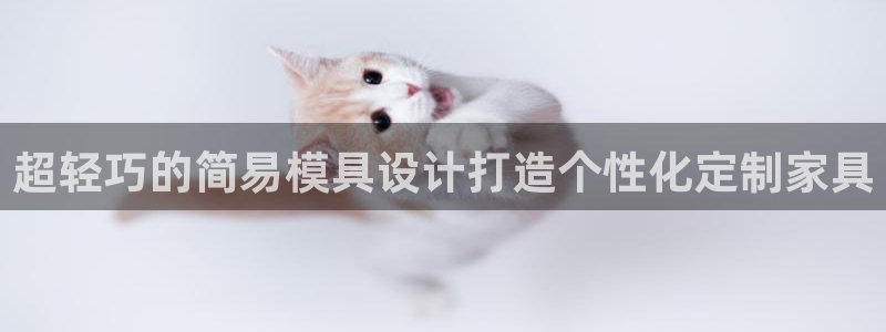 太阳集团游戏城新版138：超轻巧的简易模具设计打造个性化定制家具