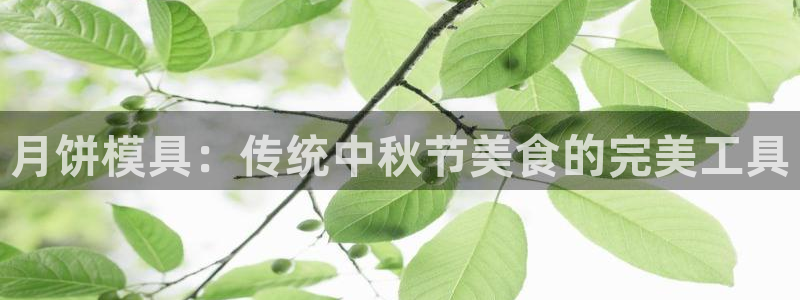 太阳集团网站5017：月饼模具：传统中秋节美食的完美工具