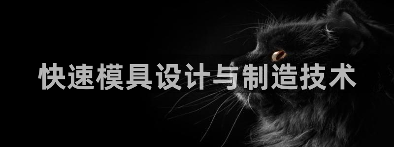 太阳集团唯一老品牌：快速模具设计与制造技术