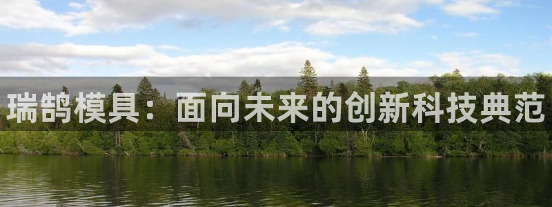 太阳app怎么下载：瑞鹄模具：面向未来的创新科技典范