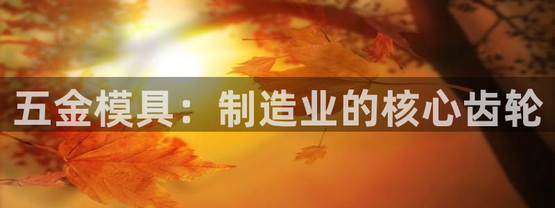 太阳诚集团有限公司怎么样：五金模具：制造业的核心齿轮