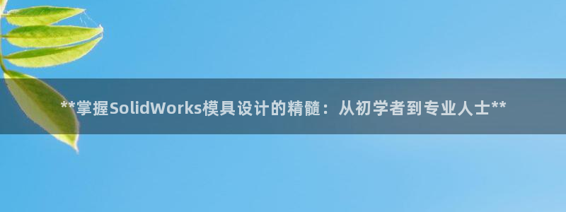 电子游戏太阳神官方网站：**掌握SolidWorks模具设计的精髓：从初学者到专业人士**