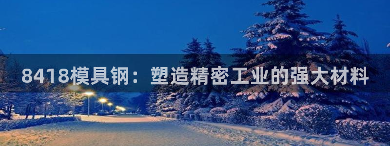 太阳gg打不开了吗：8418模具钢：塑造精密工业的强大材料