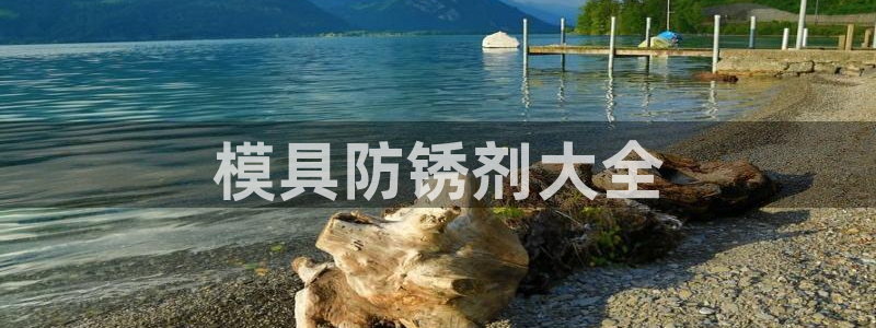 太阳gg注册平台页面：模具防锈剂大全
