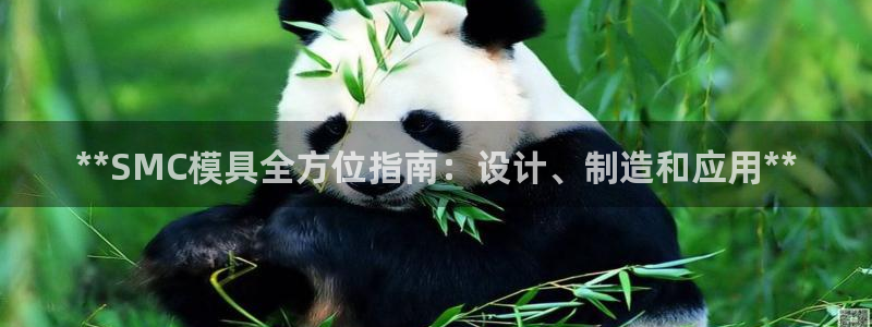 太阳集团是什么