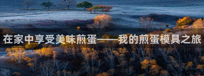 太阳gg登录首页：在家中享受美味煎蛋——我的煎蛋模具之旅