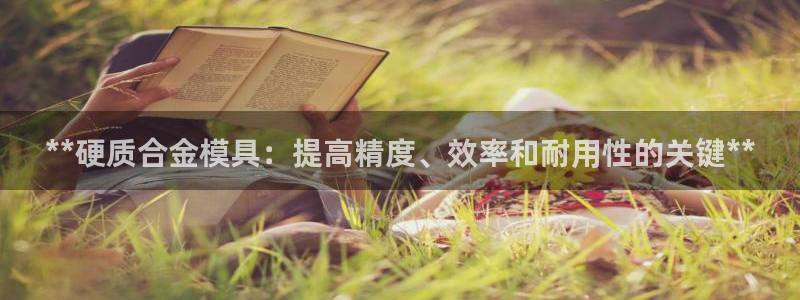 太阳贵宾城：**硬质合金模具：提高精度、效率和耐用性的关键**