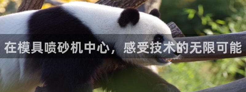 太阳app安卓版：在模具喷砂机中心，感受技术的无限可能