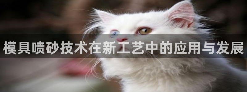 太阳老板身价：模具喷砂技术在新工艺中的应用与发展