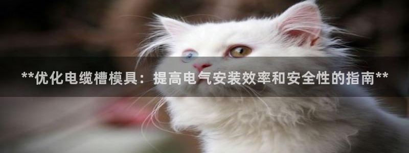 太阳集团手机app下载：**优化电缆槽模具：提高电气安装效率和安全性的指南**
