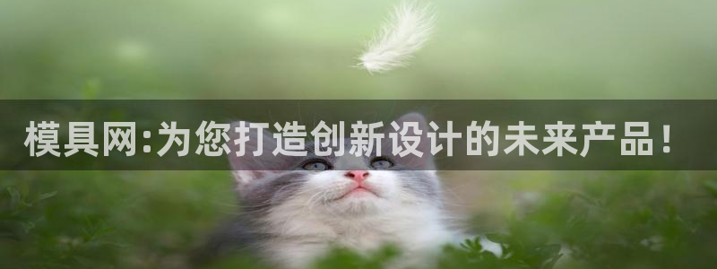 太阳成集团tyc234cc集团产业：模具网:为您打造创新设计的未来产品！