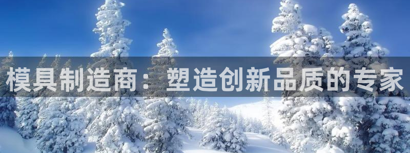 太阳集团是什么平台?：模具制造商：塑造创新品质的专家
