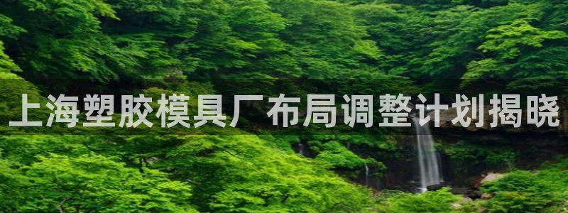 063801太阳集团备用网址：上海塑胶模具厂布局调整计划揭晓