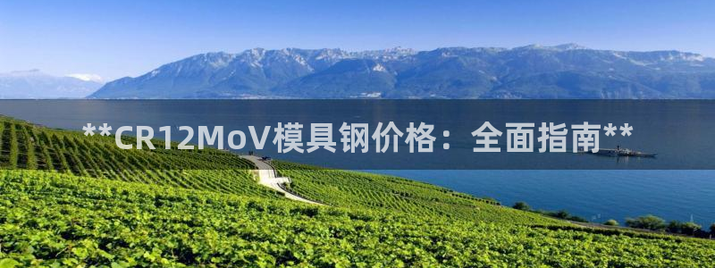 太阳集团网站入口官网下载：**CR12MoV模具钢价格：全面指南**