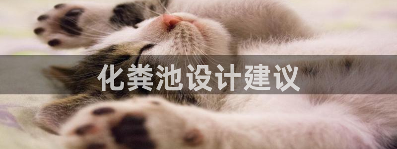 太阳成集团控股买购网：化粪池设计建议