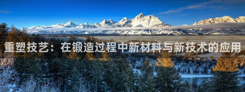 太阳成集团是干嘛的：重塑技艺：在锻造过程中新材料与新技术的应用