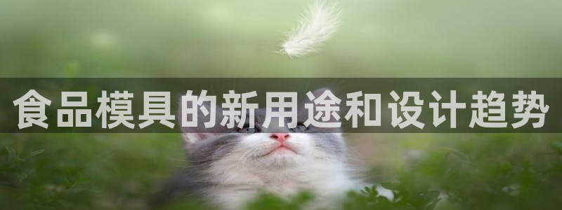 太阳老板身价：食品模具的新用途和设计趋势