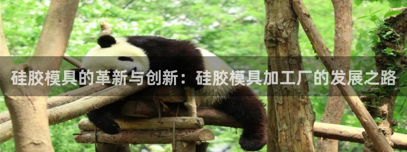 太阳董事长