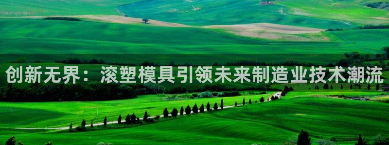 太阳成集团tyc122cc下载：创新无界：滚塑模具引领未来制造业技术潮流