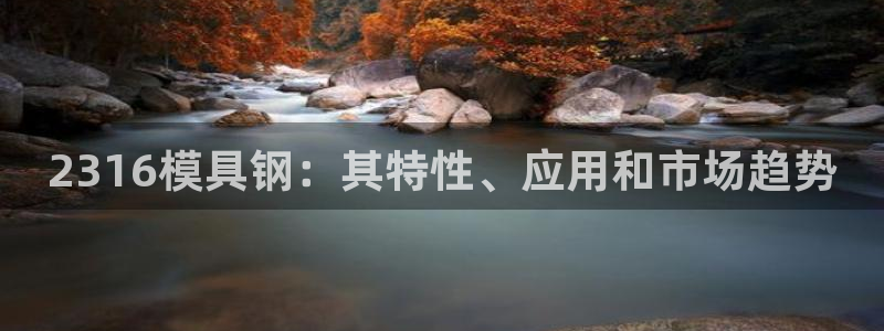 太阳诚集团在线：2316模具钢：其特性、应用和市场趋势