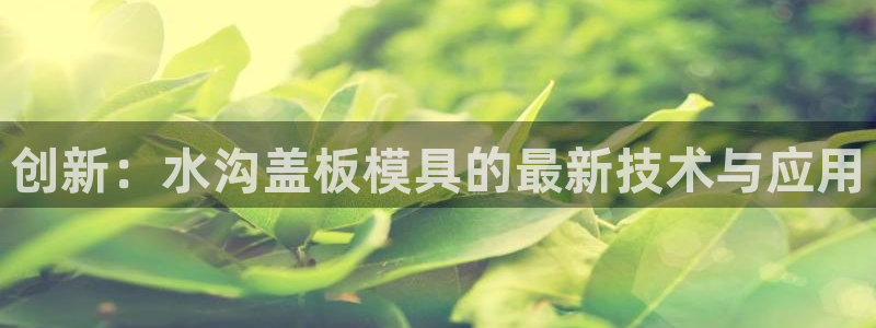 太阳成集团tyc7111cc电影：创新：水沟盖板模具的最新技术与应用