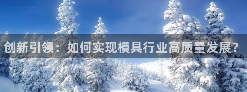 太阳成集团客服：创新引领：如何实现模具行业高质量发展？